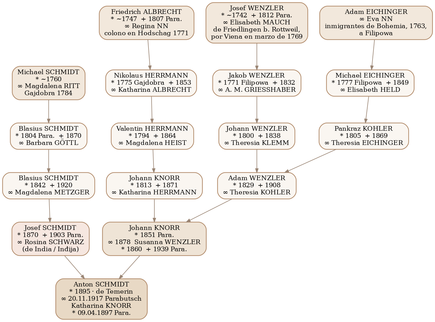 Las cuatro líneas principales desde los colonos fundadores hasta el casamiento de 1917