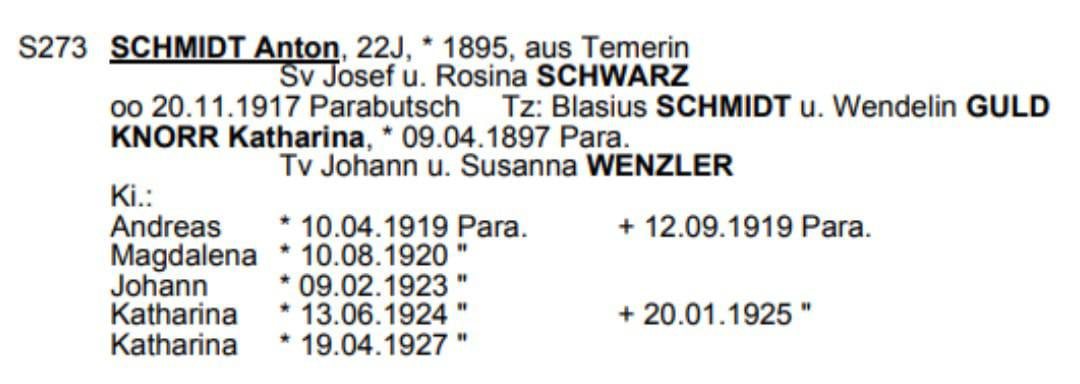 Ficha S273 del Familienbuch Parabutsch